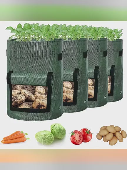 Potato Grow Bag with Harvest Window for Root Vegetables